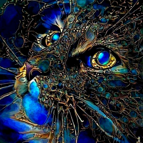 Meet your Posher, Jan - Picture 1 of 1